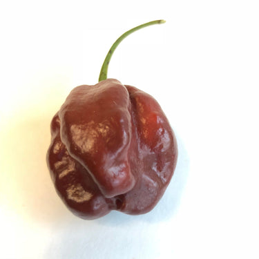 Habanero Chocolate - Seeds - The Pepper Pantry (Formerly Marie Sharp's)